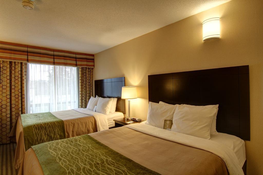 Comfort Inn Chatham-Kent Eksteriør bilde