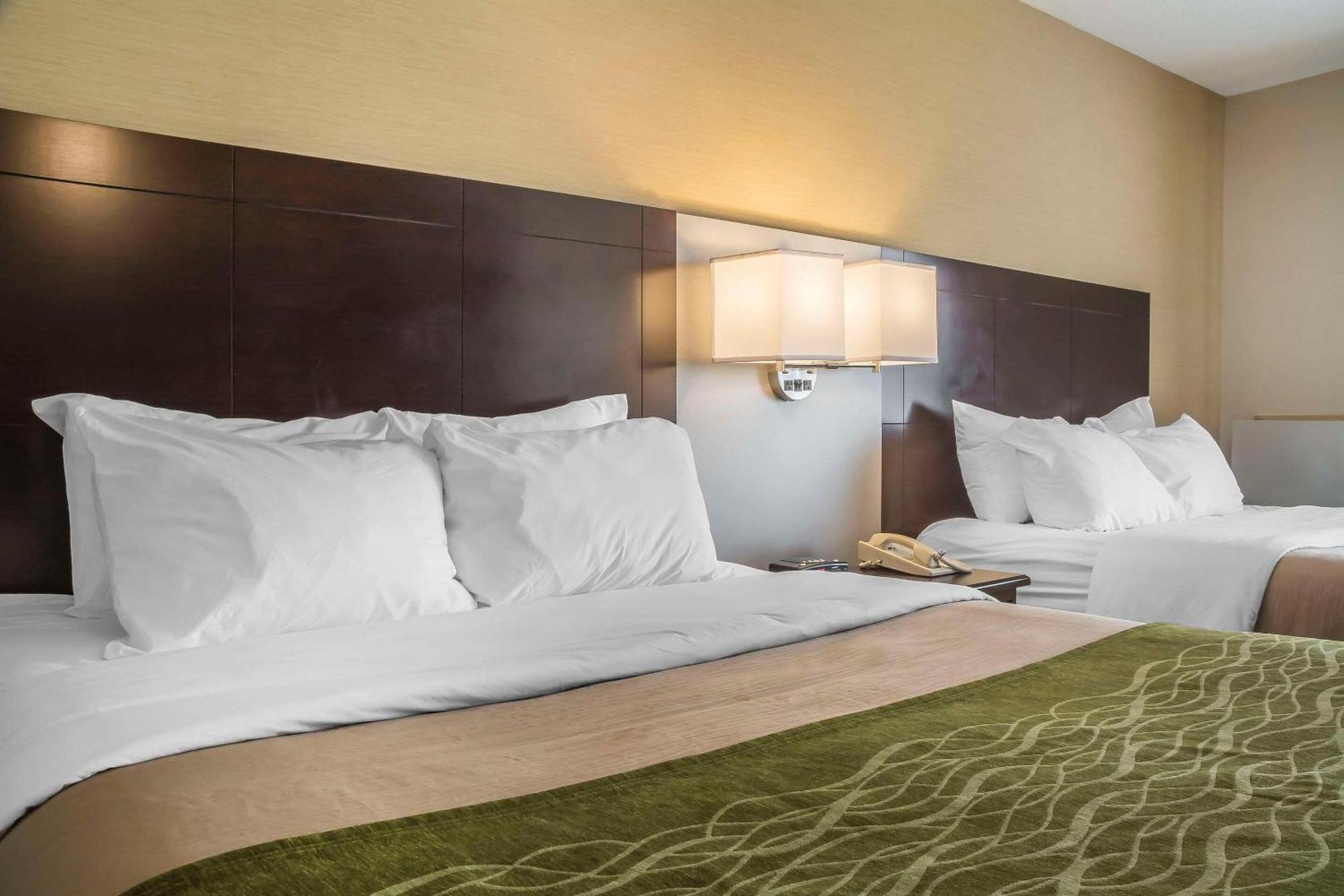 Comfort Inn Chatham-Kent Eksteriør bilde