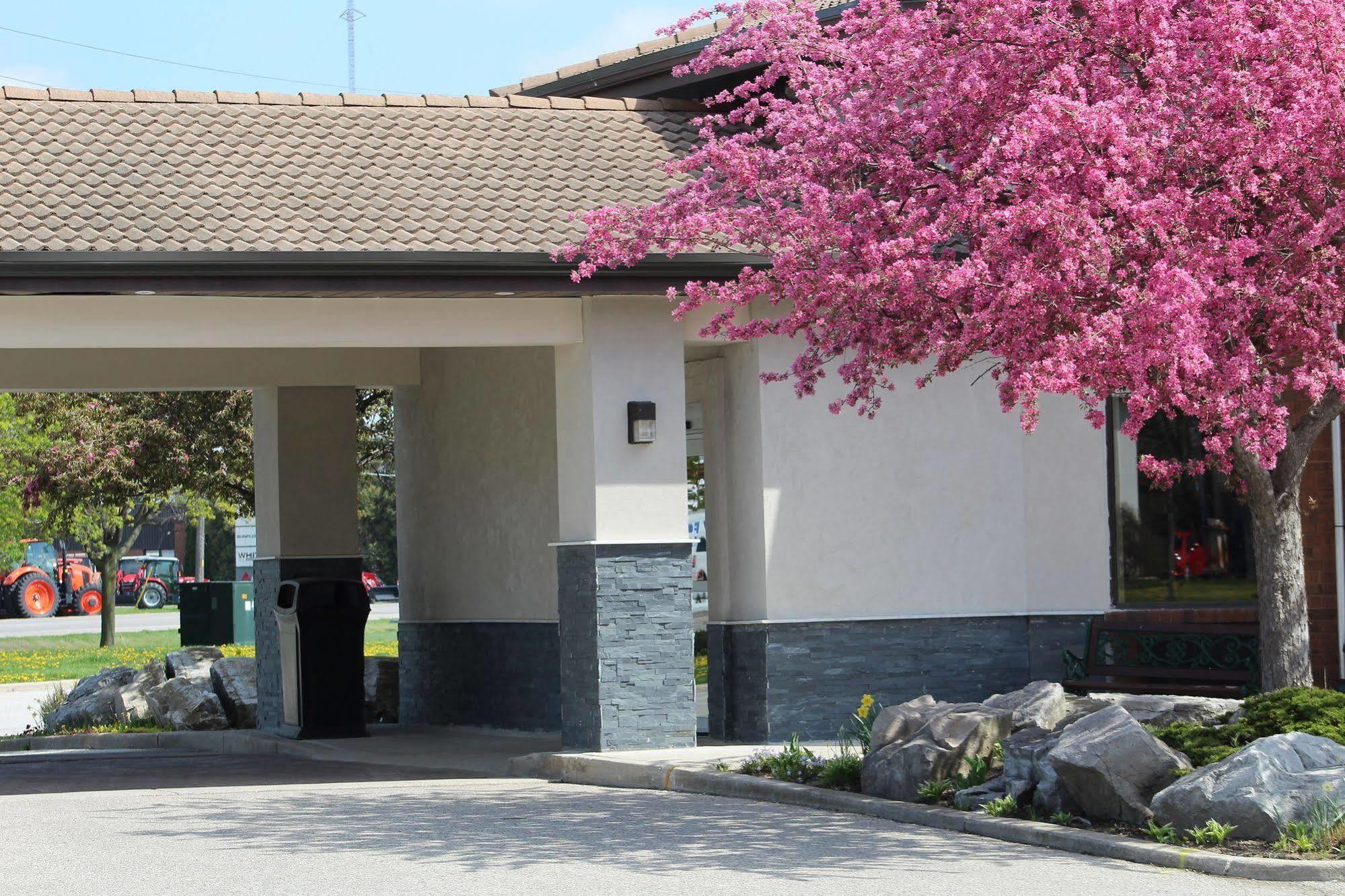 Comfort Inn Chatham-Kent Eksteriør bilde