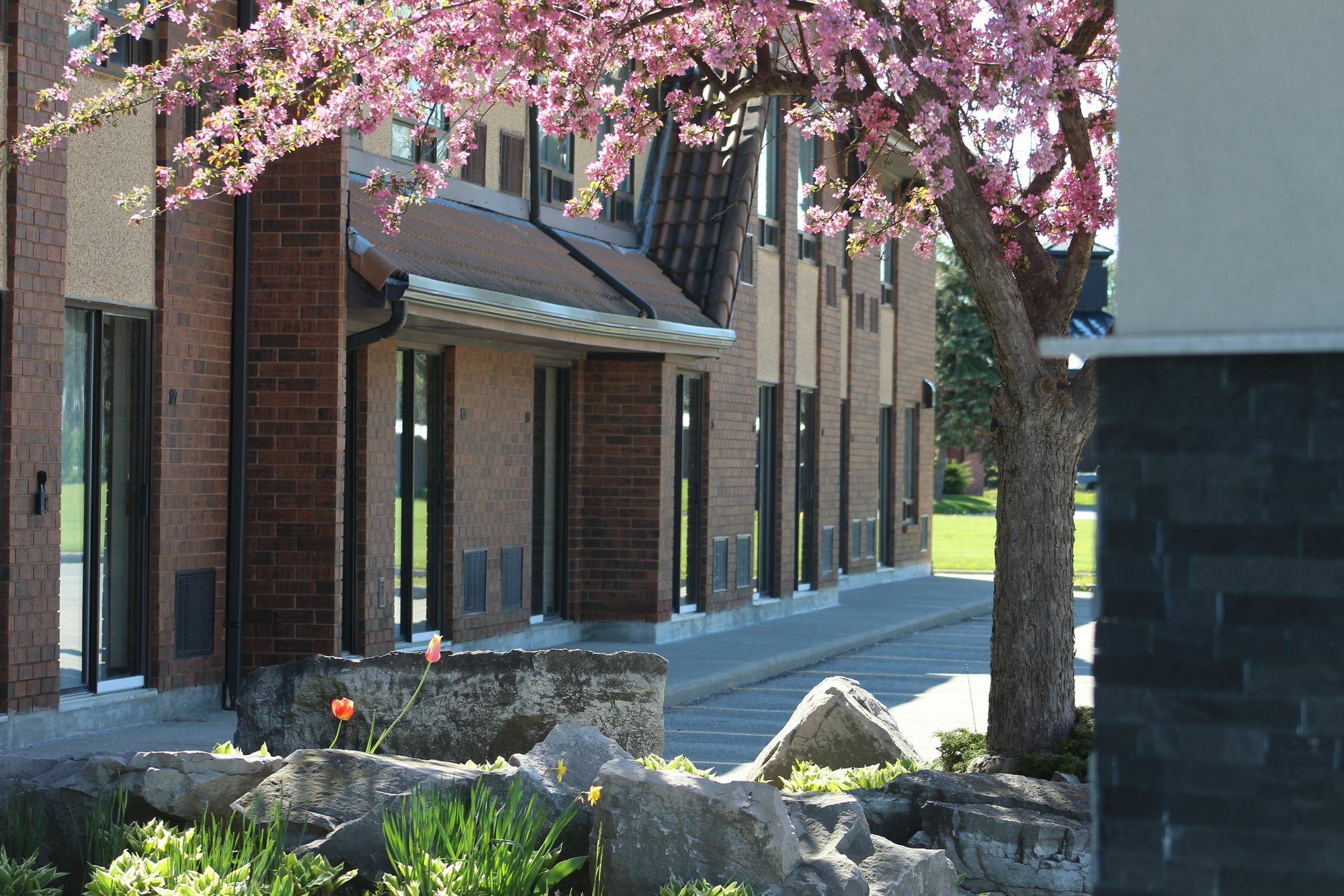 Comfort Inn Chatham-Kent Eksteriør bilde